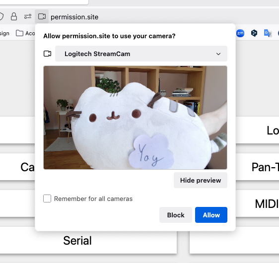 権限ダイアログ内でカメラをプレビュー