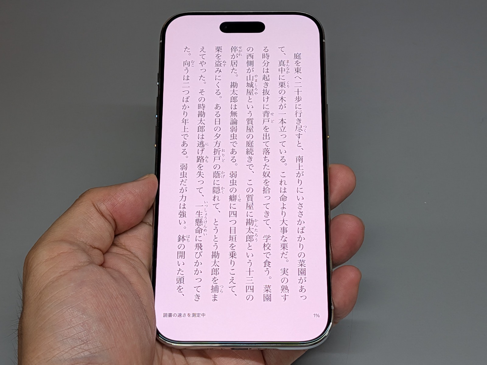 テキストを表示したところ。縦長なので1行の文字数が多すぎて目で追うのがつらいが、表示性能も高くおすすめできる