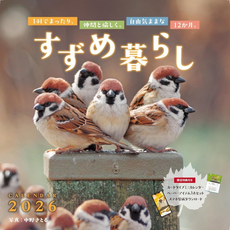 すずめ暮らし（月めくり/壁掛け/420mm×210mm）