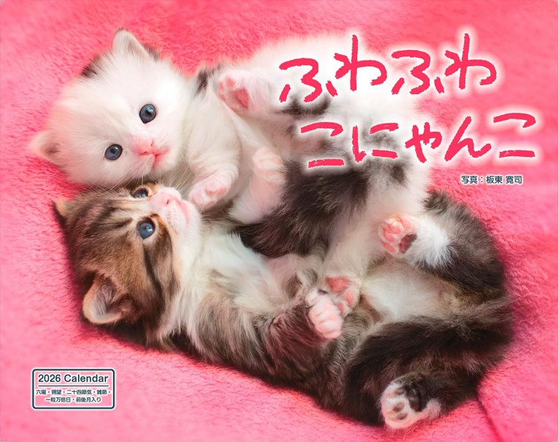 カレンダー2026 ふわふわこにゃんこ（月めくり/壁掛け/600mm×380mm）