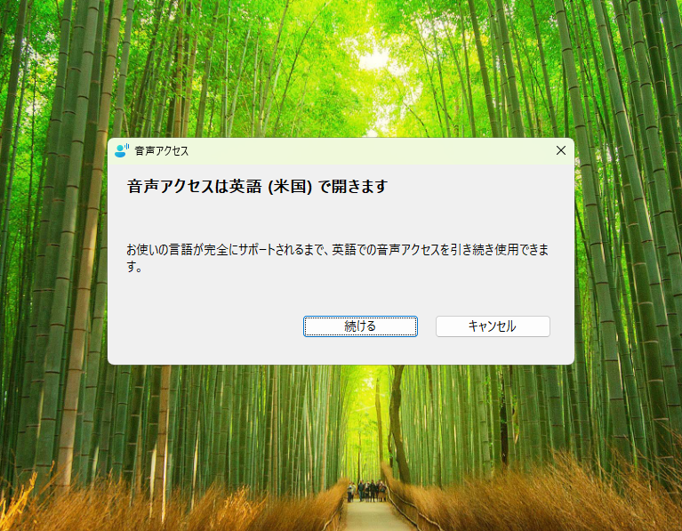 日本語には未対応で、英語（米国）で利用するほかない状況。早急な改善が望まれていた