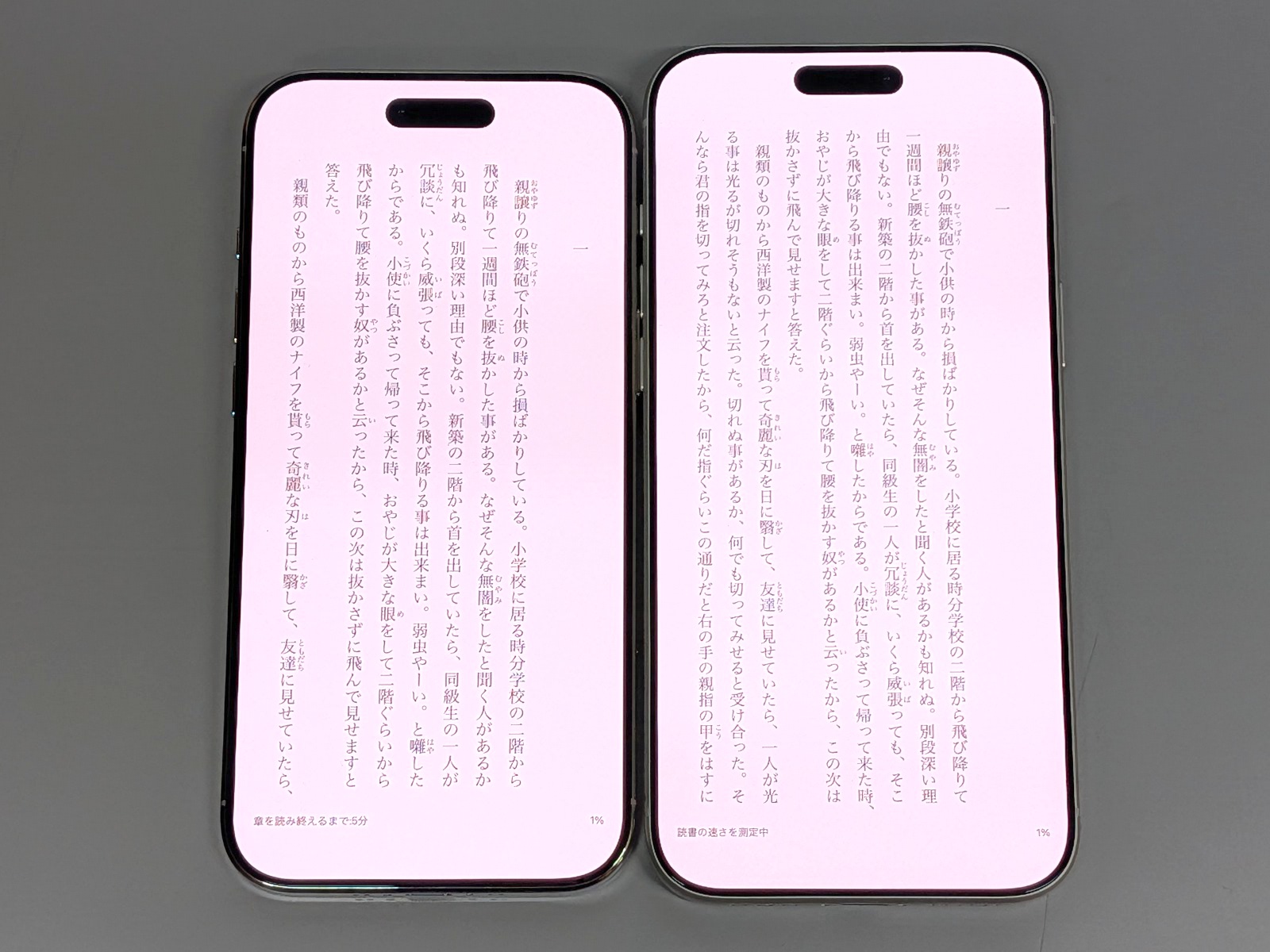 こちらはテキストを表示したところ。1ページあたり2～3行ほどの差が出る