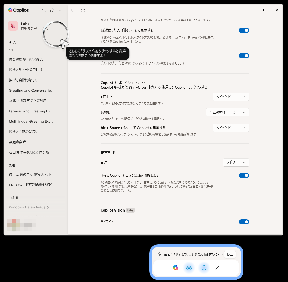 想定外の場所にハイライトが表示されてしまった。ただ、こういうことがやりたいんだなという「Copilot Vision」の意図は伝わる