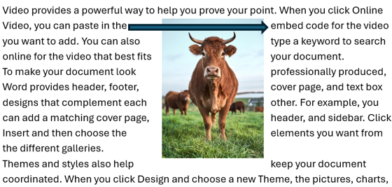 画像に回り込んだテキストを正しい順序で読み上げられるようになった