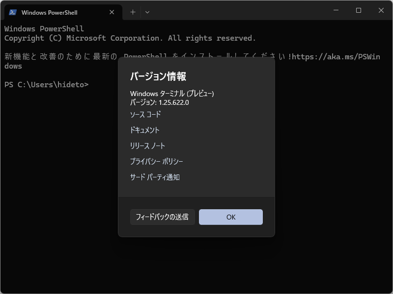Microsoft、「Windows Terminal Preview 1.25」をリリース
