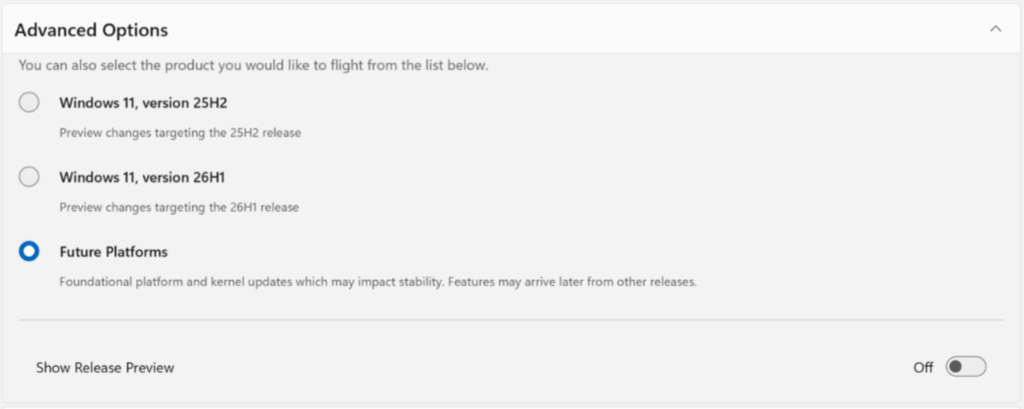 「Advanced options」（詳細オプション）