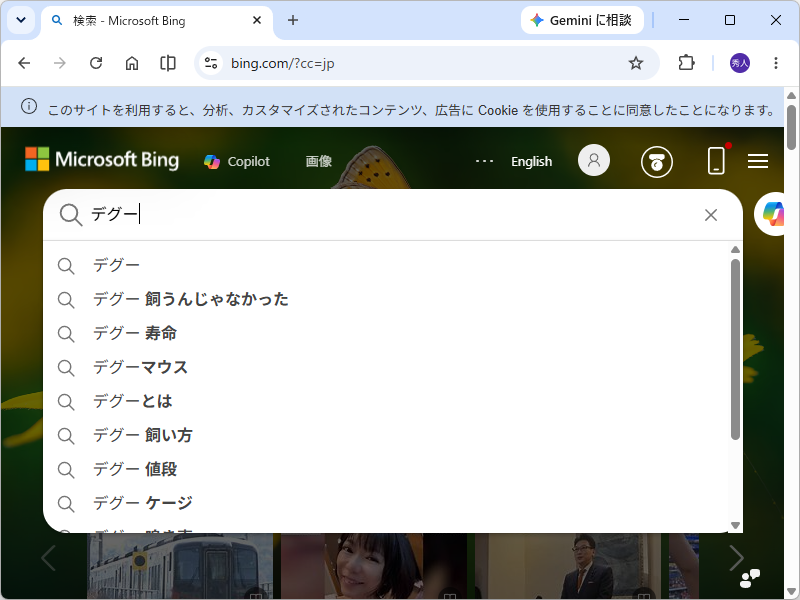 「Bing」で検索すると「飼うんじゃなかった」とサジェストされる