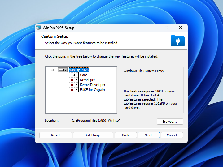 「WinFsp」のセットアップオプションは既定のままでよいようです