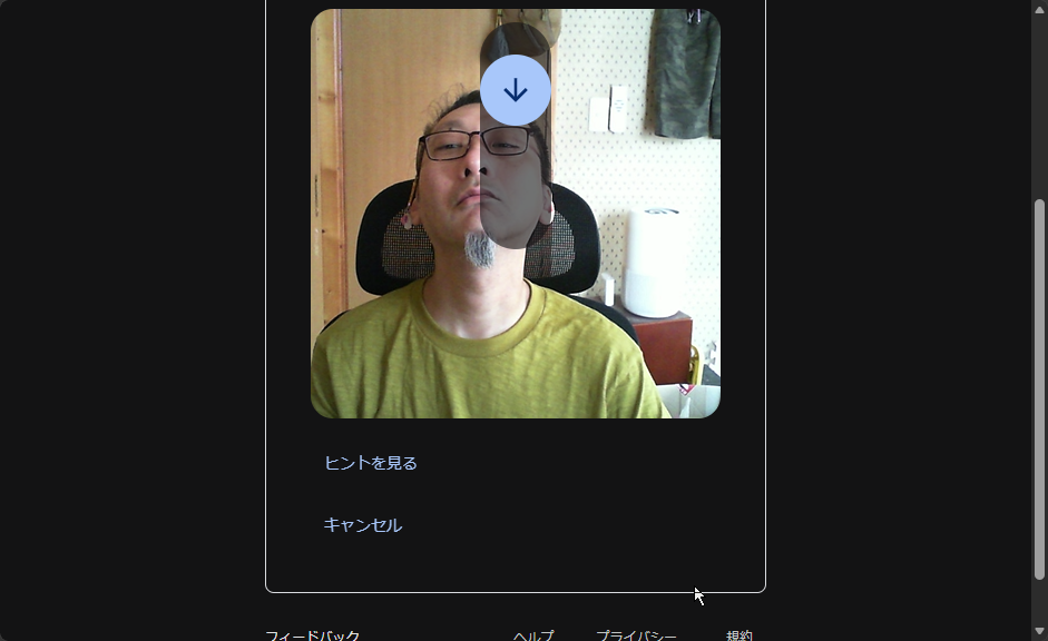 Webブラウザーにカメラの映像送信を許可した後、指示に従って動画を撮影する