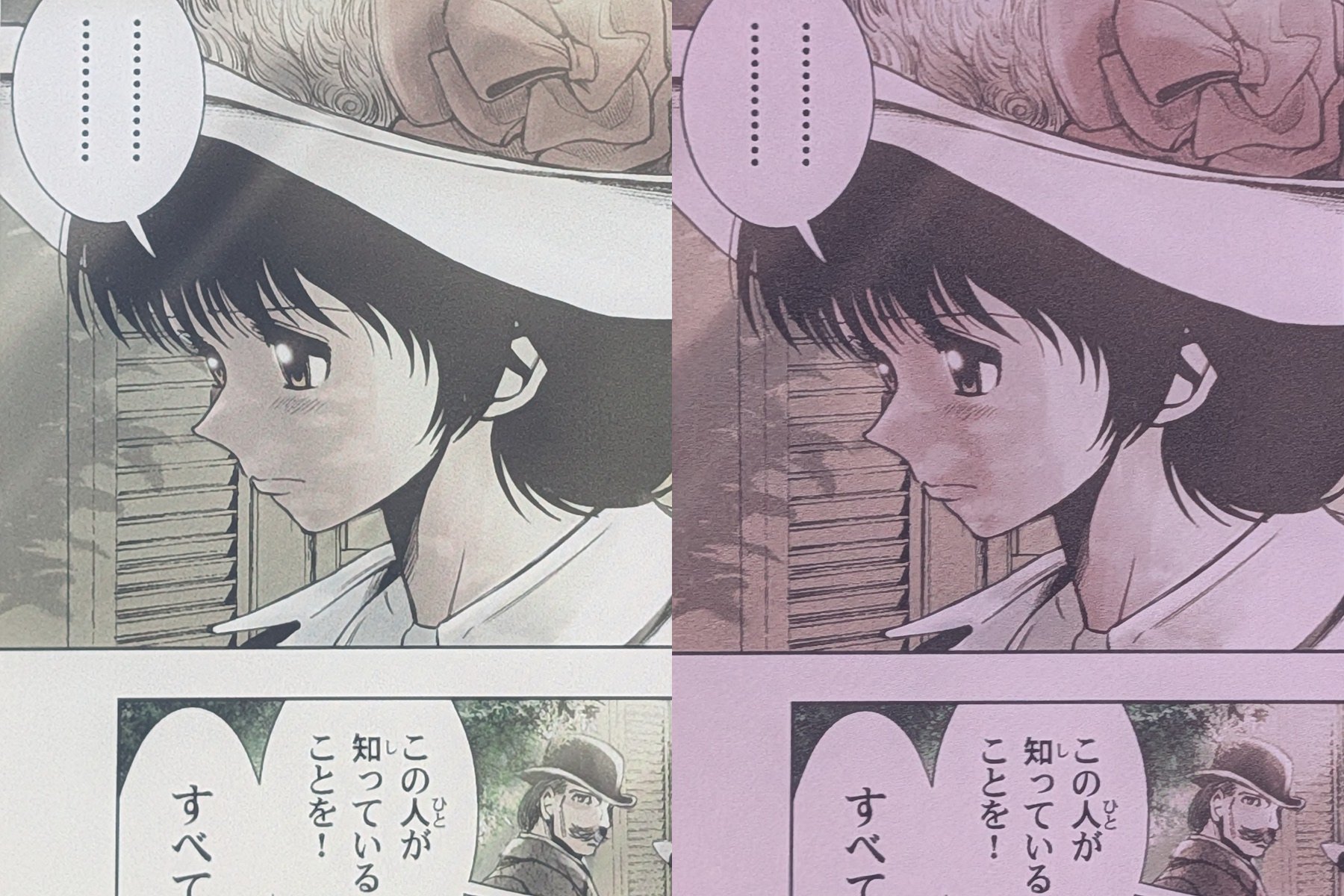 部分をズームしたところ。こちらも色調は異なるが中間色の表示の特性などはよく似ている