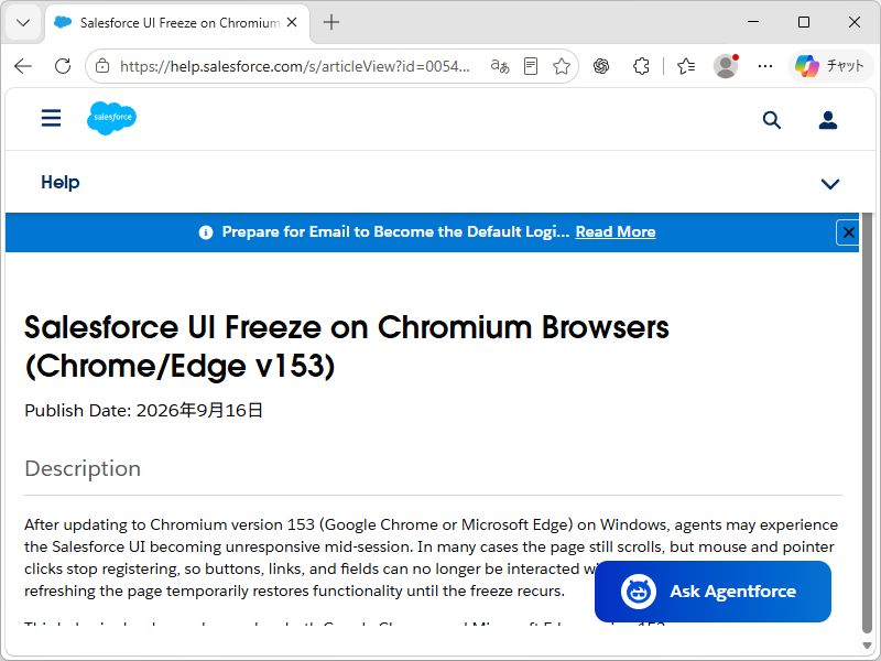 「Salesforce Help」における当該問題の記載