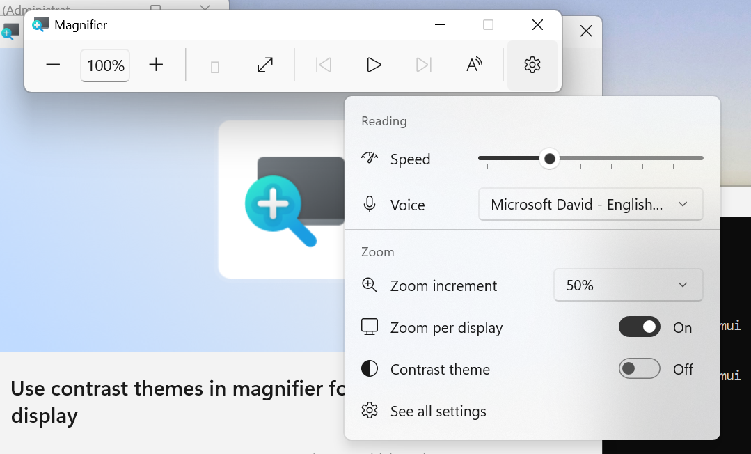 「拡大鏡」ツールバーの設定に加わった［Contrast theme］トグル