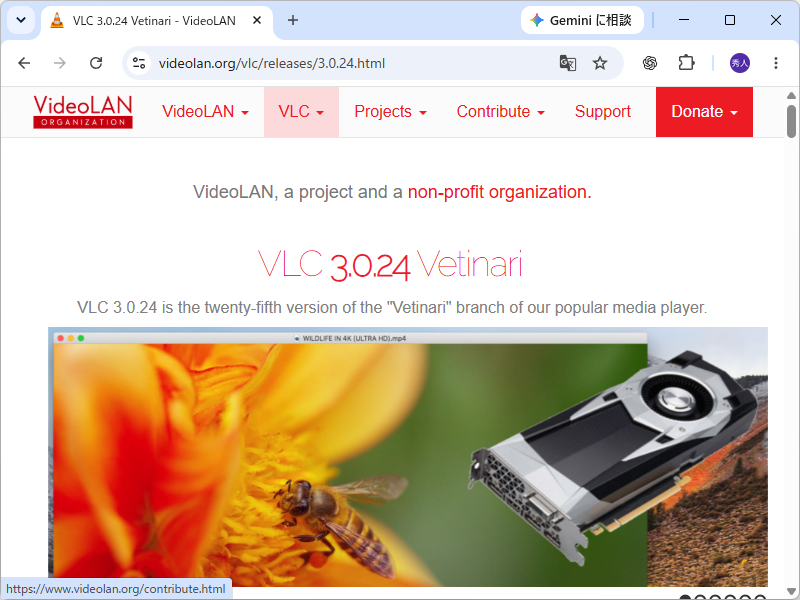 公式サイトではv3.0.24が配信されている