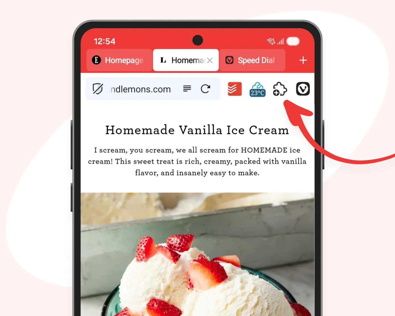アドレスバーに拡張機能のアイコンが追加された（画像はVivaldiのブログより引用）