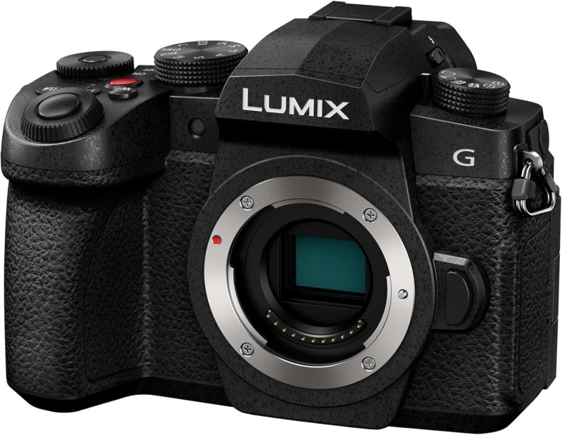 LUMIX DC-G99M2