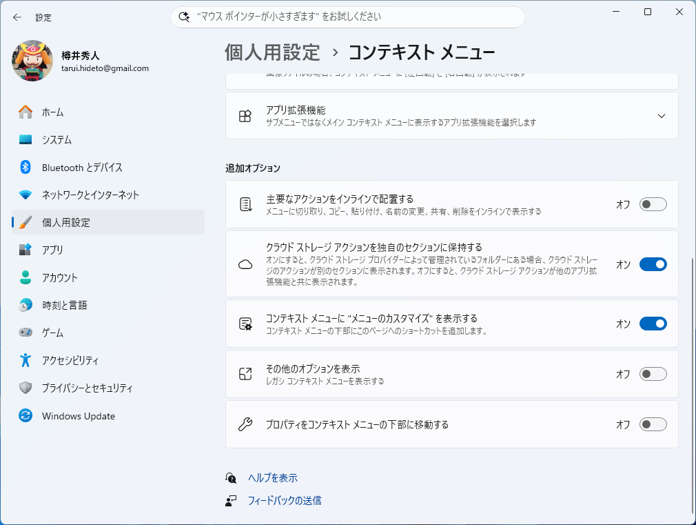 ［追加オプション］セクション