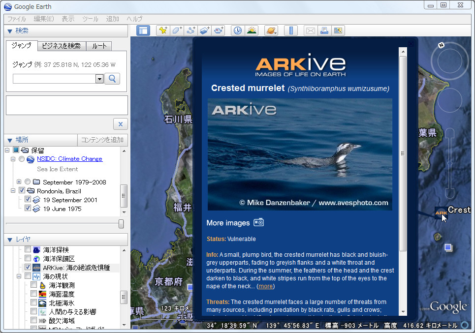 ［ARKive: 海の絶滅危惧種］レイヤ