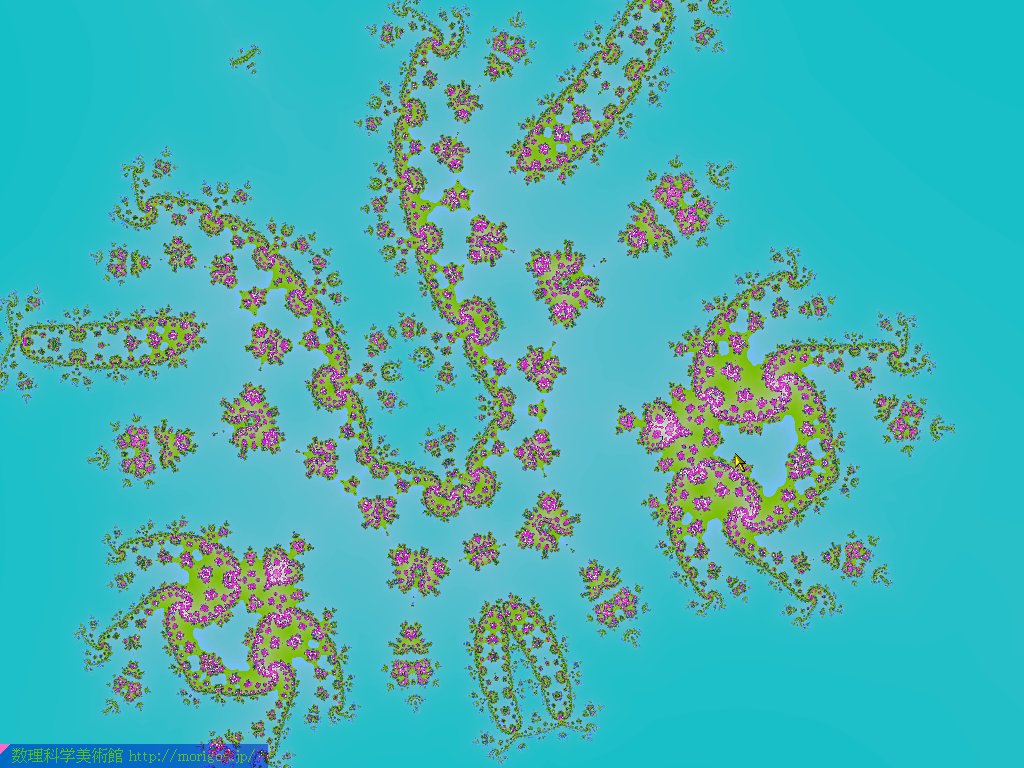 ピエロの顔？　ゾウリムシ？