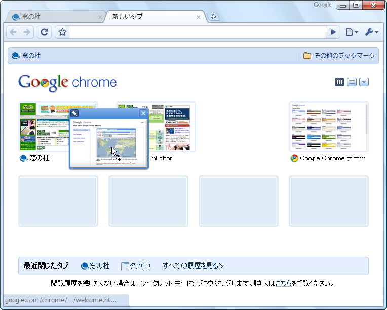 「Google Chrome」v3.0.195.21