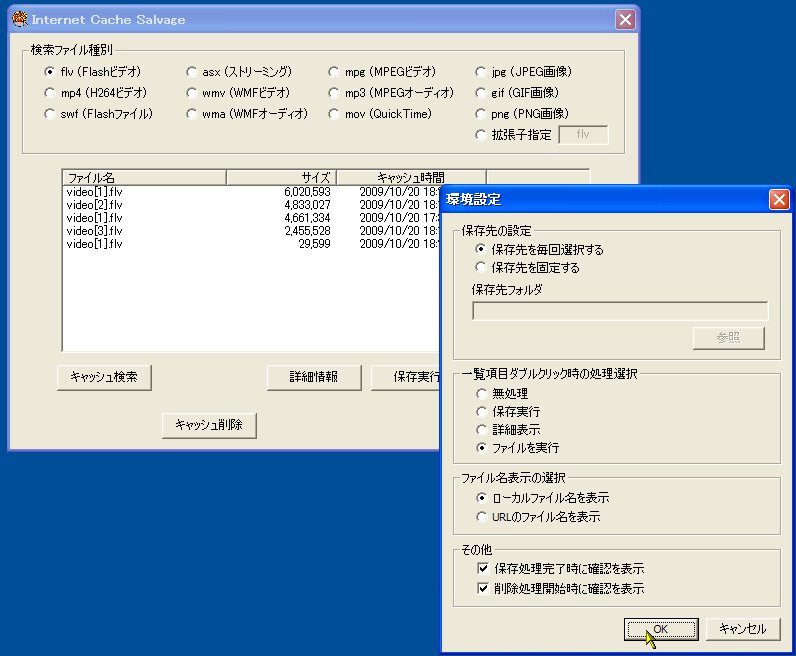 「Internet Cache Salvage」v0.20