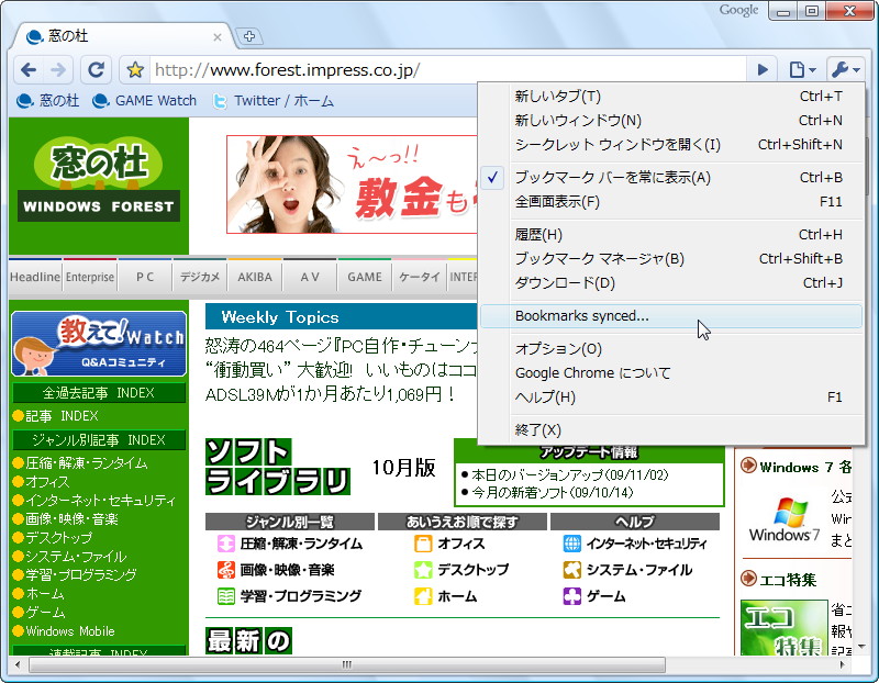 「Google Chrome」v4.0.223.16