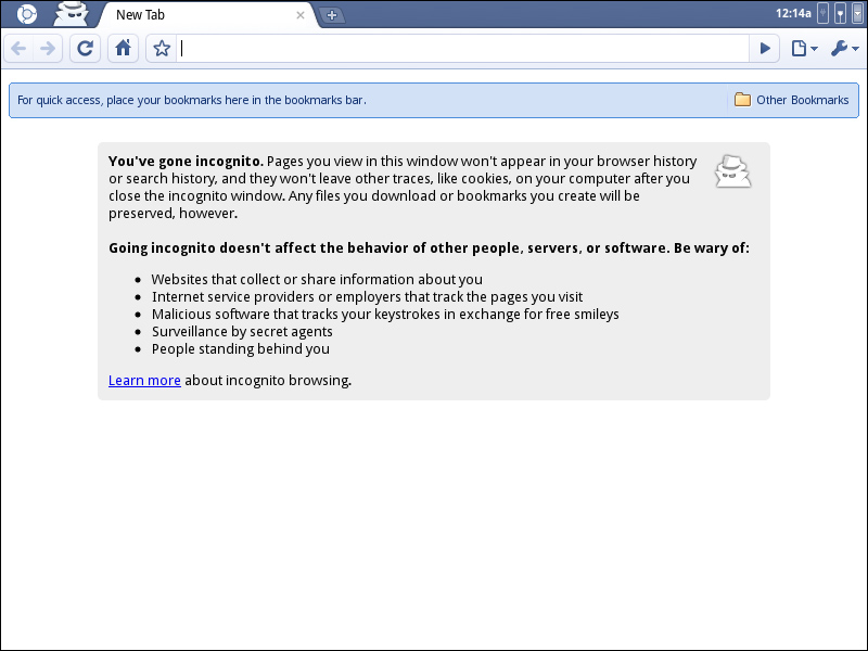 プライバシーモード（Incognite Windows）も利用できる