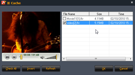 IEのキャッシュ取り込み画面