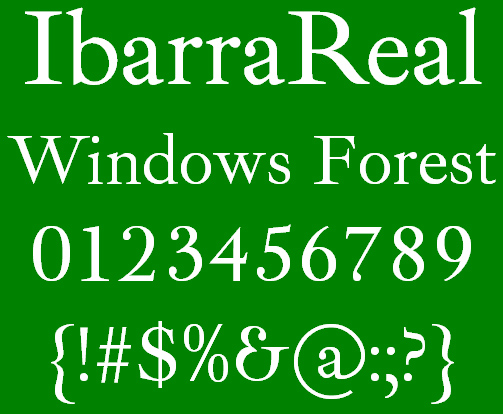 「IbarraReal-Regular」v1.0