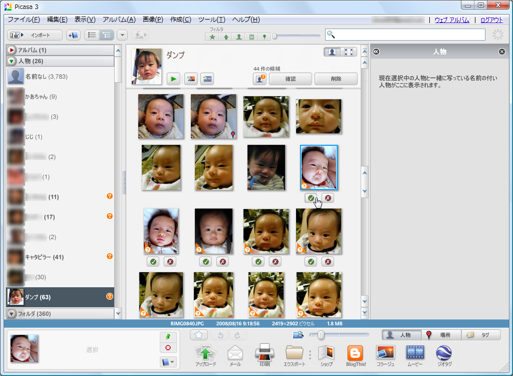 「Picasa」v3.6.0 (ビルド105.41,0)
