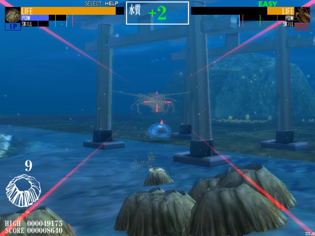 繁殖により移動するフジツボなど個性豊かな甲殻類がそろっている