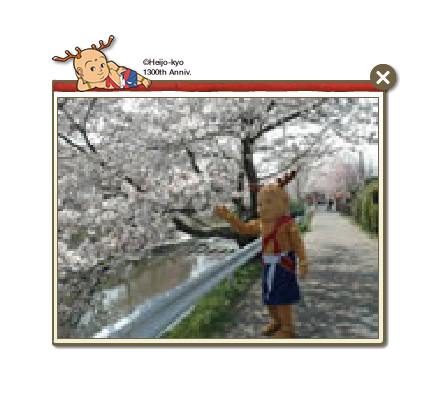 「フォトフレーム」