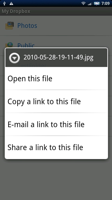ファイルをタップ＆ホールドすることでメニューが表示される。ファイル共有用のリンクをメール送信したりTwitterクライアントなど各種アプリに渡すことが可能だ