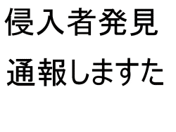 動体検知ソフトと連動してサイレン音とともに全画面で警告表示