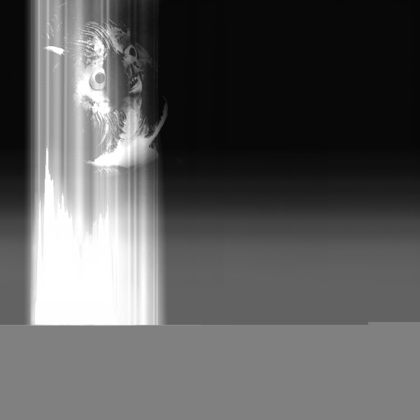 力尽きる直前に映したような画像に……!?