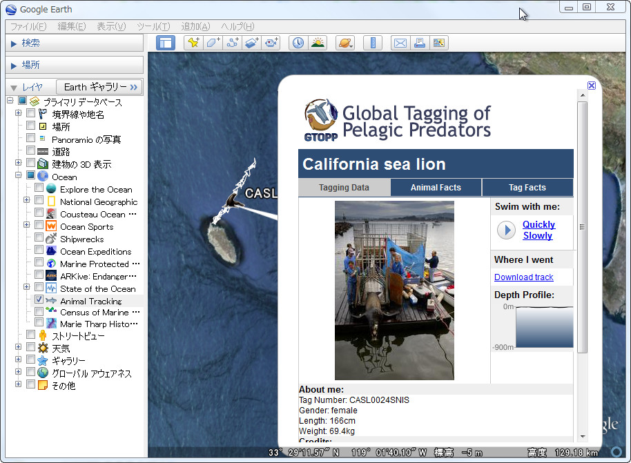 “Animal Tracking”レイヤ