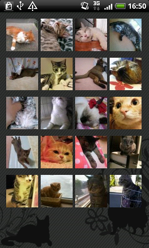 可愛らしいネコの写真がサムネイルで一覧表示