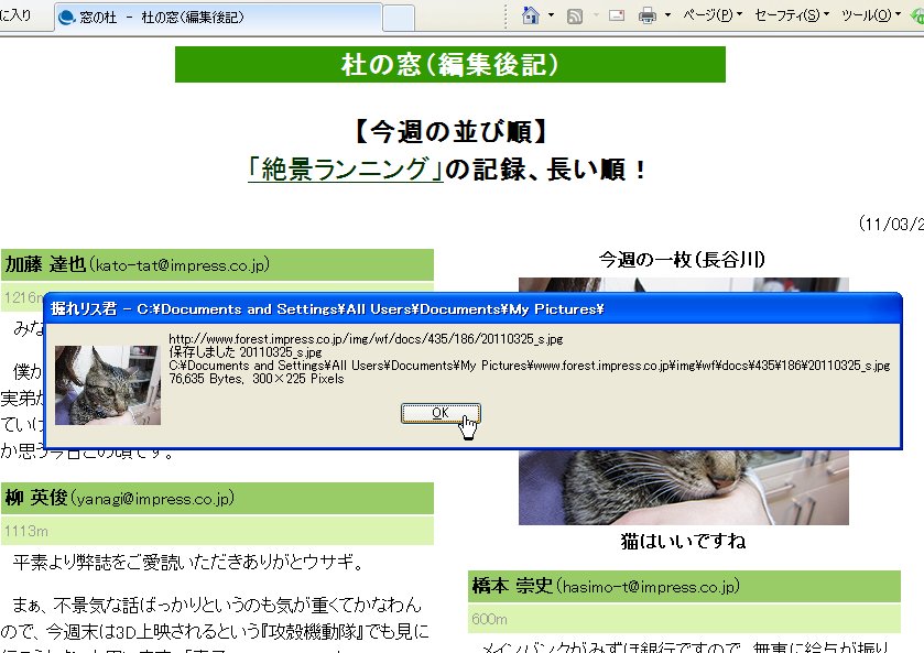 ファイルサイズやピクセル数もその場で確認