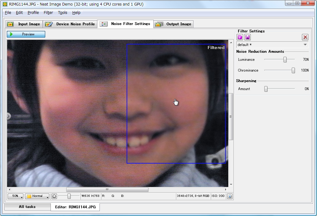 「Neat Image」v7.0