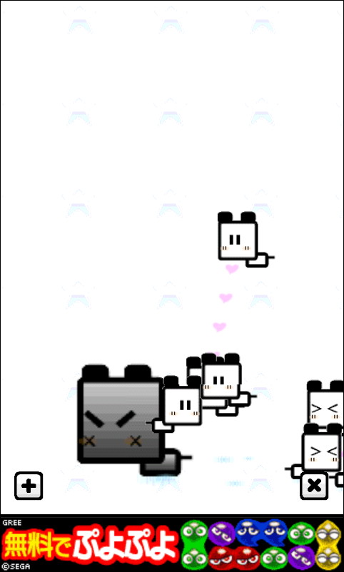 たまに違う種類のねこが登場することも