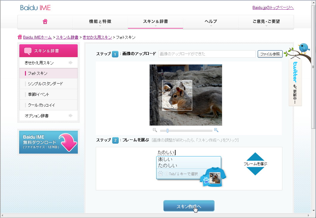 “フォトスキン”のWebサイト