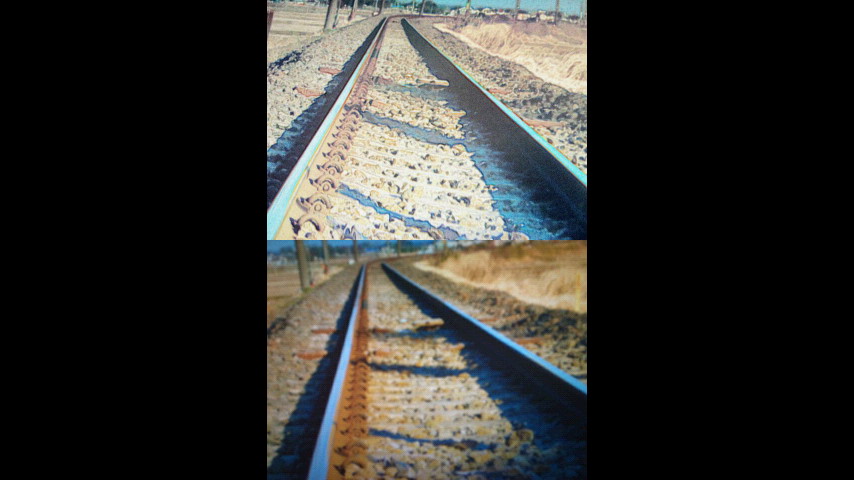 「巡礼カメラ」