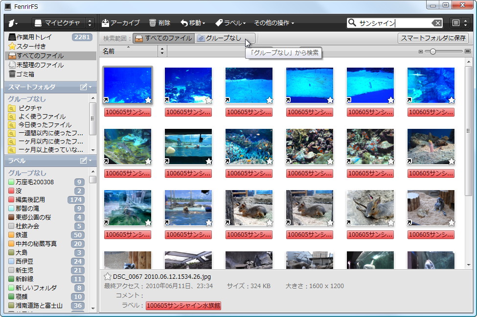 検索欄に文字列を入力すると“検索オプション”バーが現れる