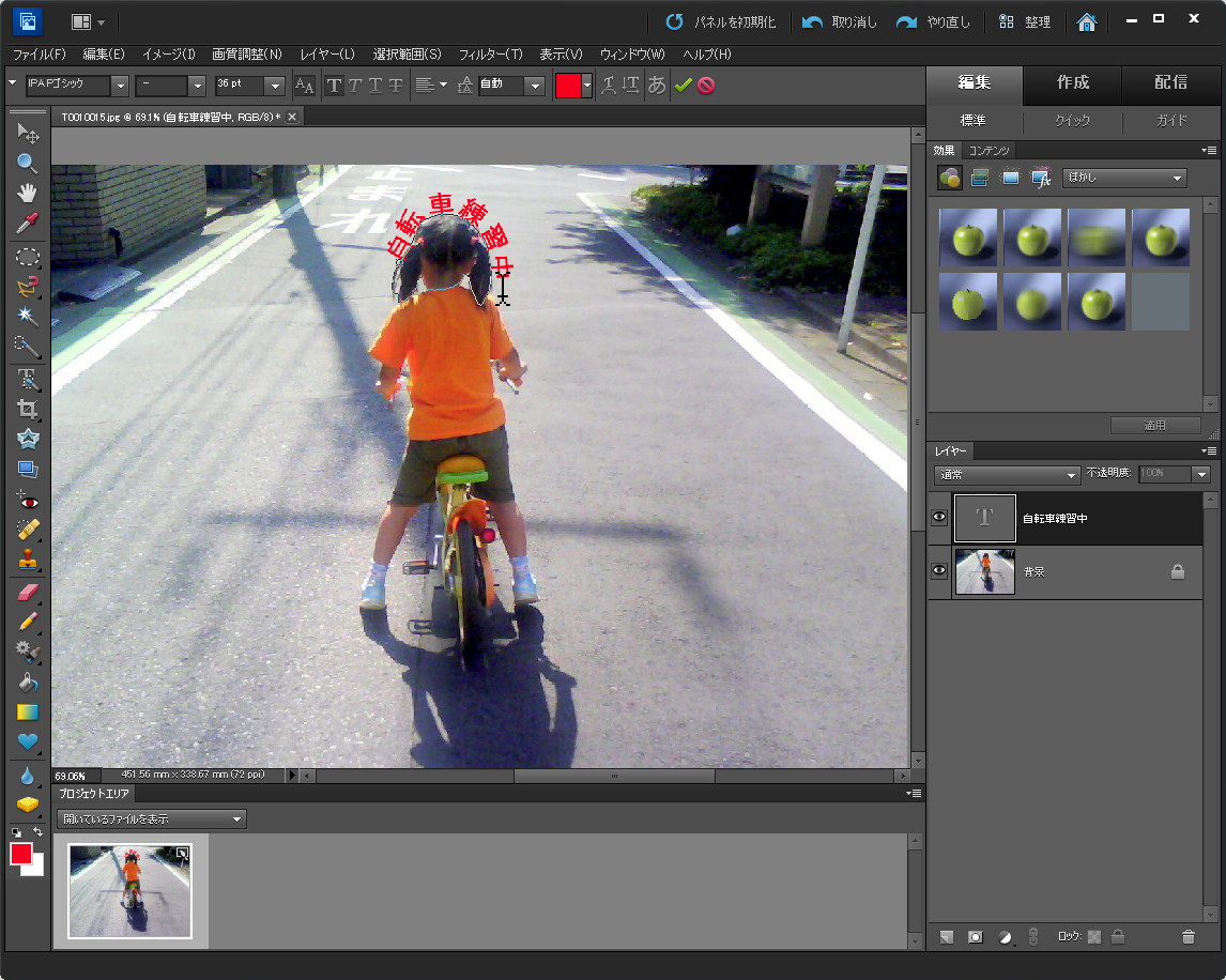 「Adobe Photoshop Elements 10」