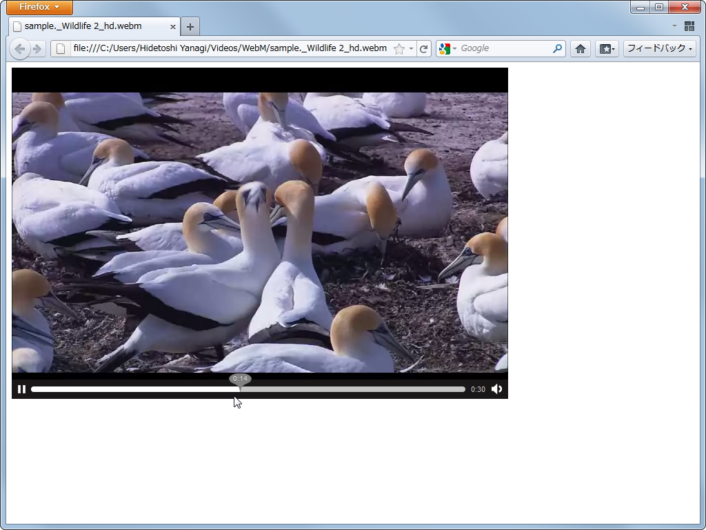 変換した“WebM”形式動画は「Firefox」などをはじめとする対応ソフトで再生可能だ