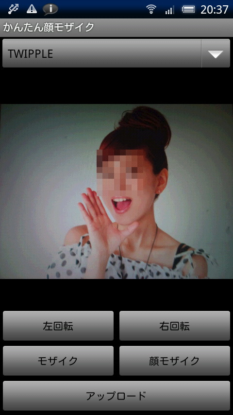 画像の顔部分を自動認識してモザイクをかけられる