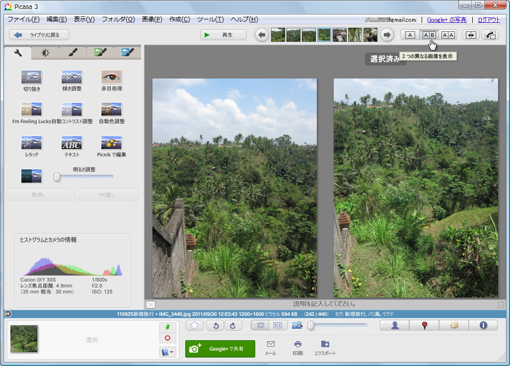 編集前と後の同じ写真を並べて表示