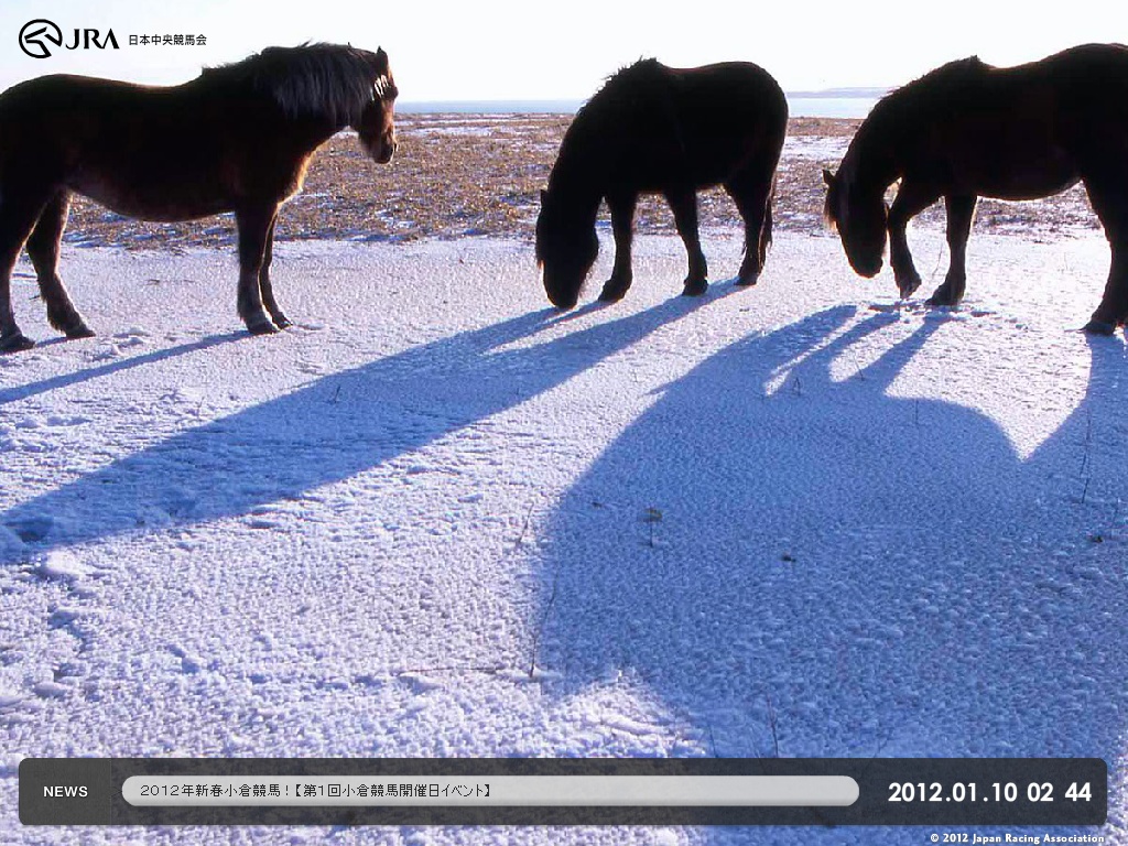 「2012年ＪＲＡオフィシャルスクリーンセーバー」