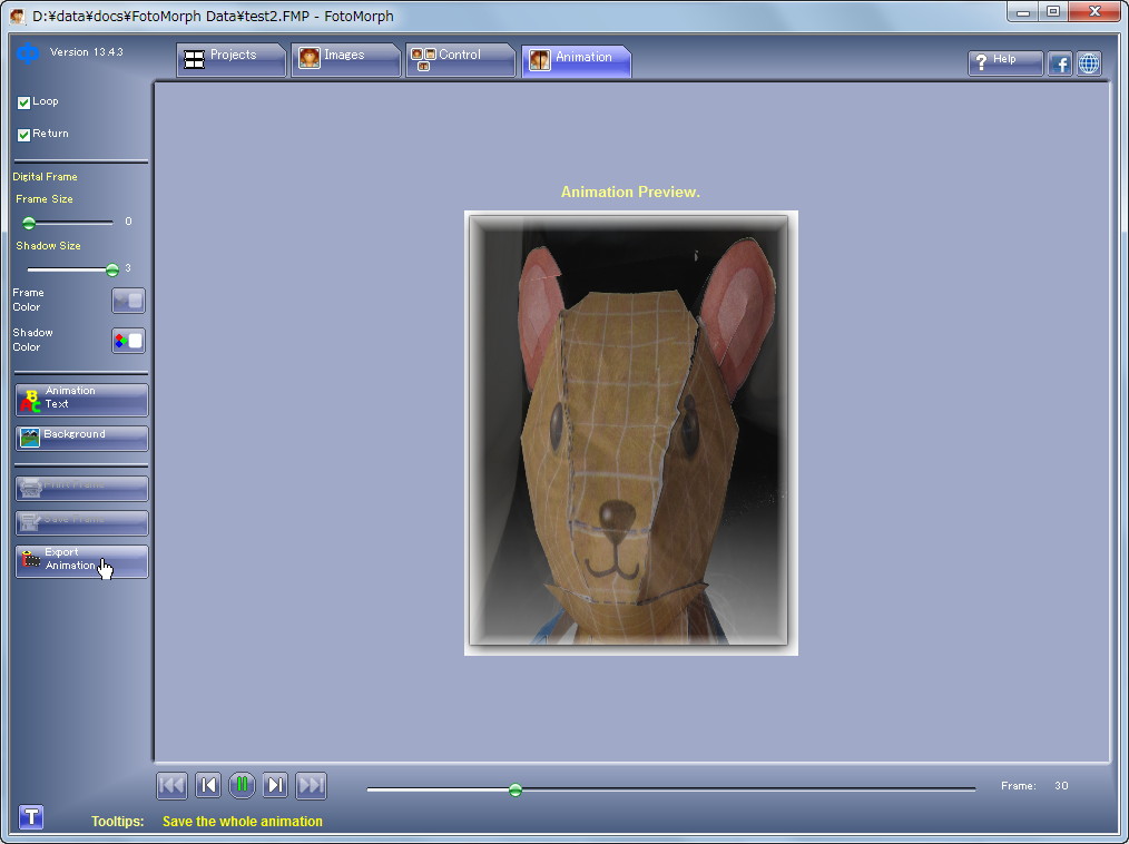 ［Animation］タブ
