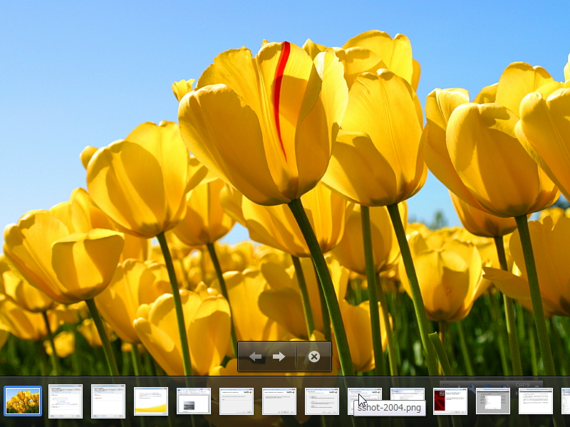 画像の全画面表示機能