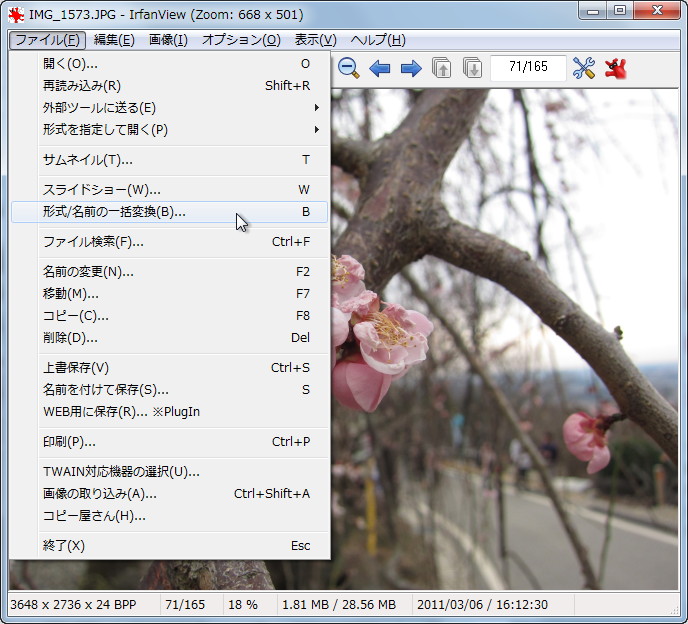 「IrfanView」v4.33